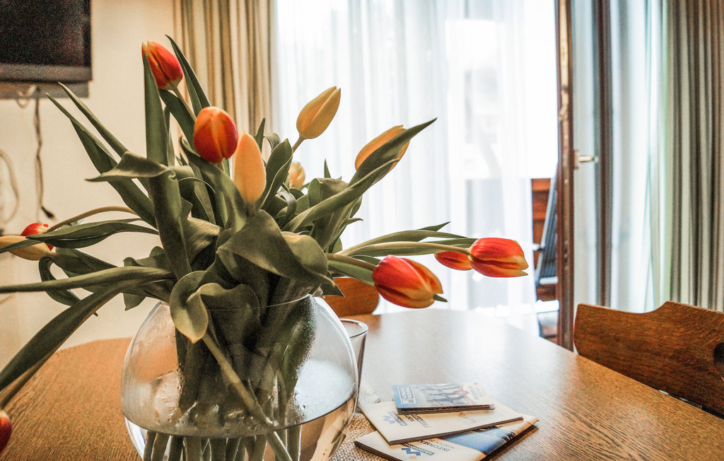 Lejlighed - Niederau , Østrig - ATI176 5