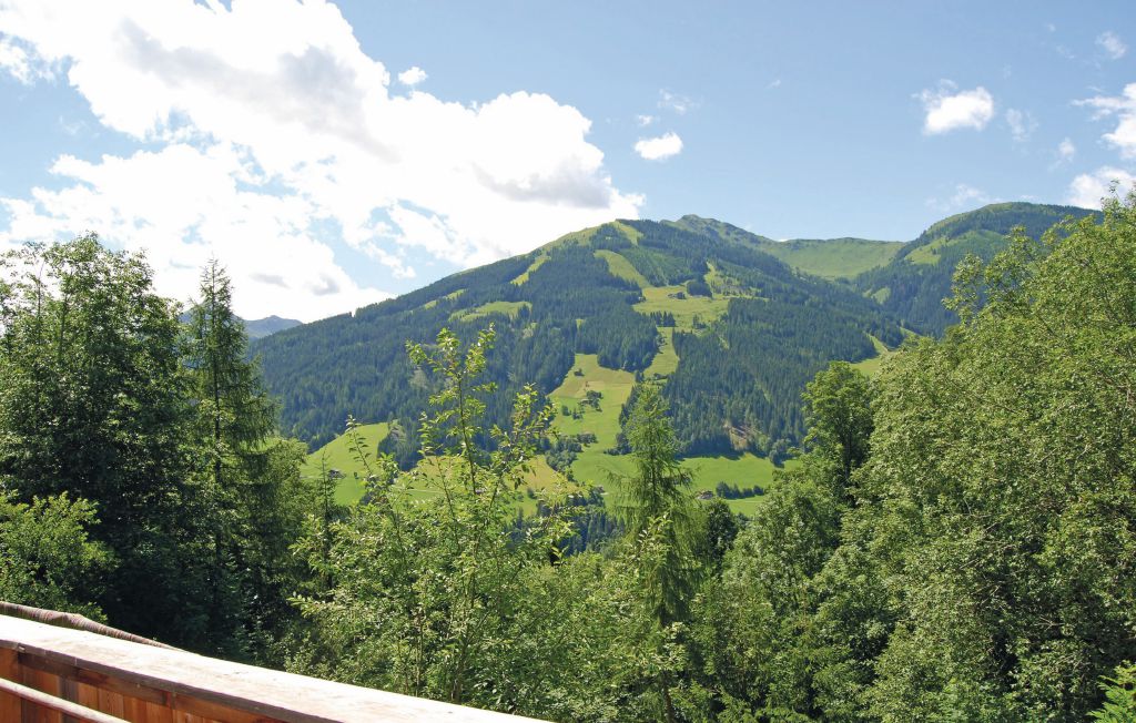 Ferieleilighet - Alpbach , Østerrike - ATI893 7