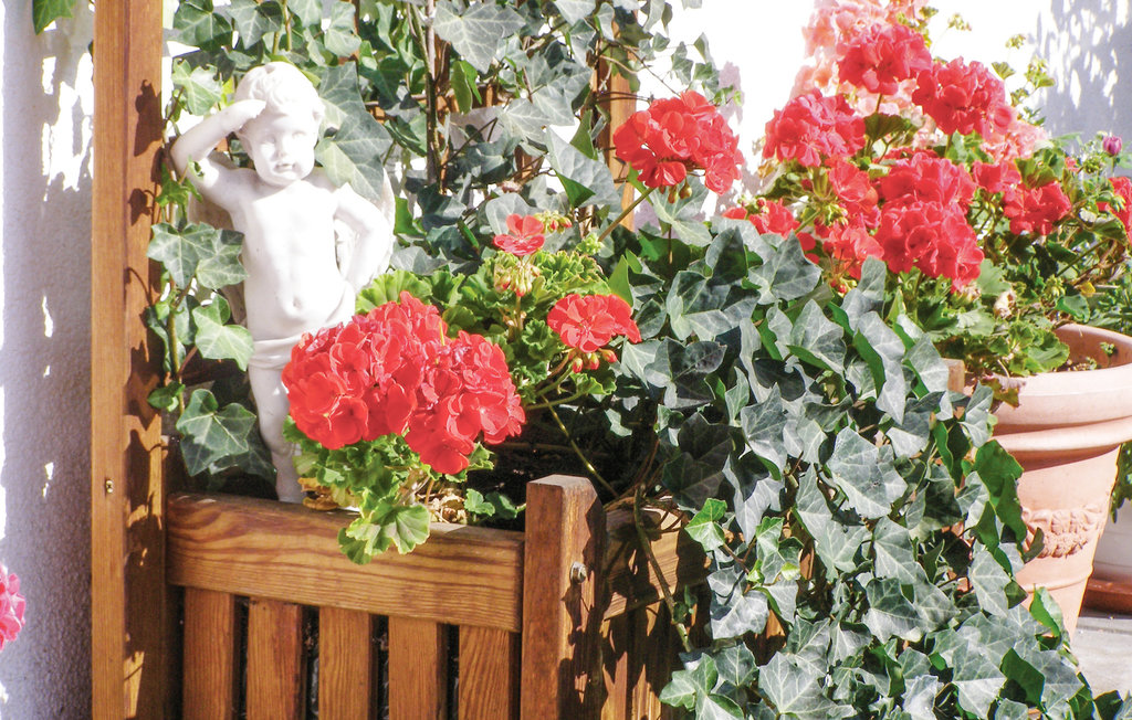 Ferieleilighet - Fügen , Østerrike - ATI060 23