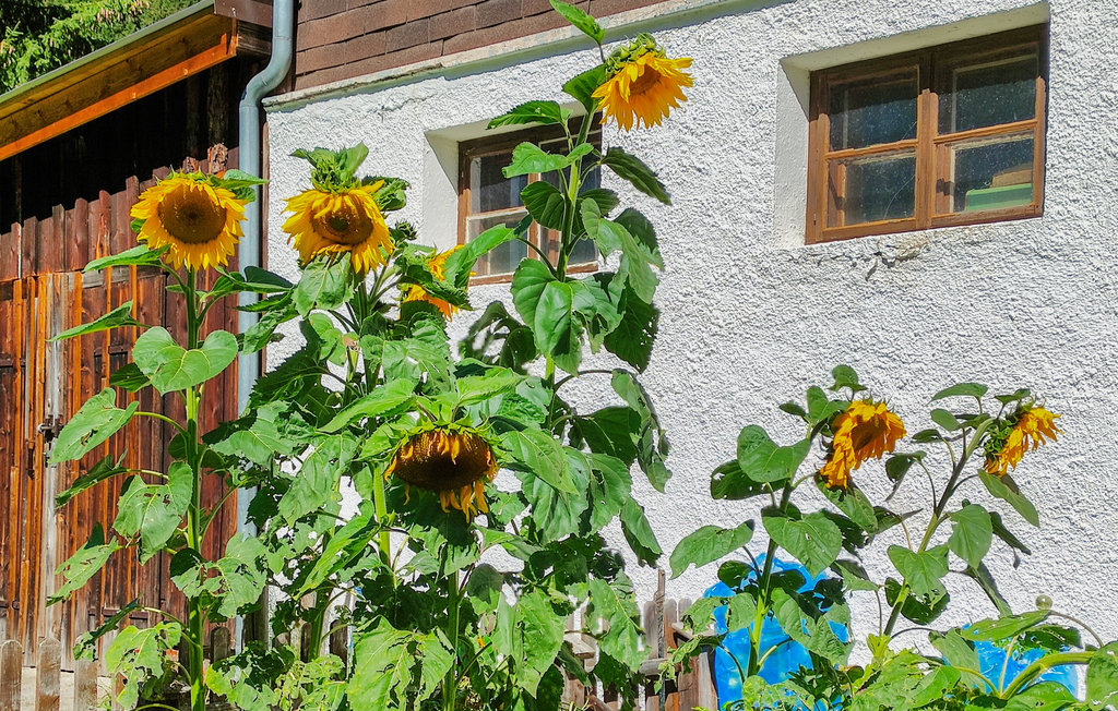 Ferienhaus - Nähe Ischgl , Österreich - ATI101 12