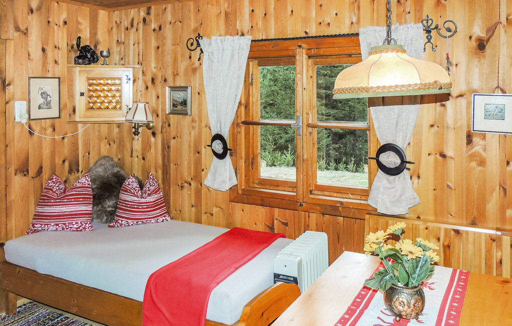 Feriehus - Pillberg , Østerrike - ATI556 21