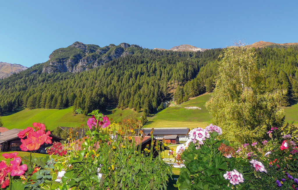 Ferieleilighet - Obernberg , Østerrike - ATI867 24