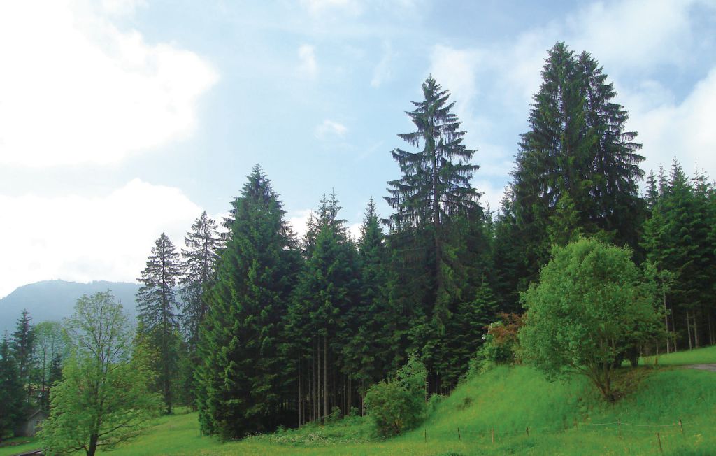 Bild 8 Bild 8