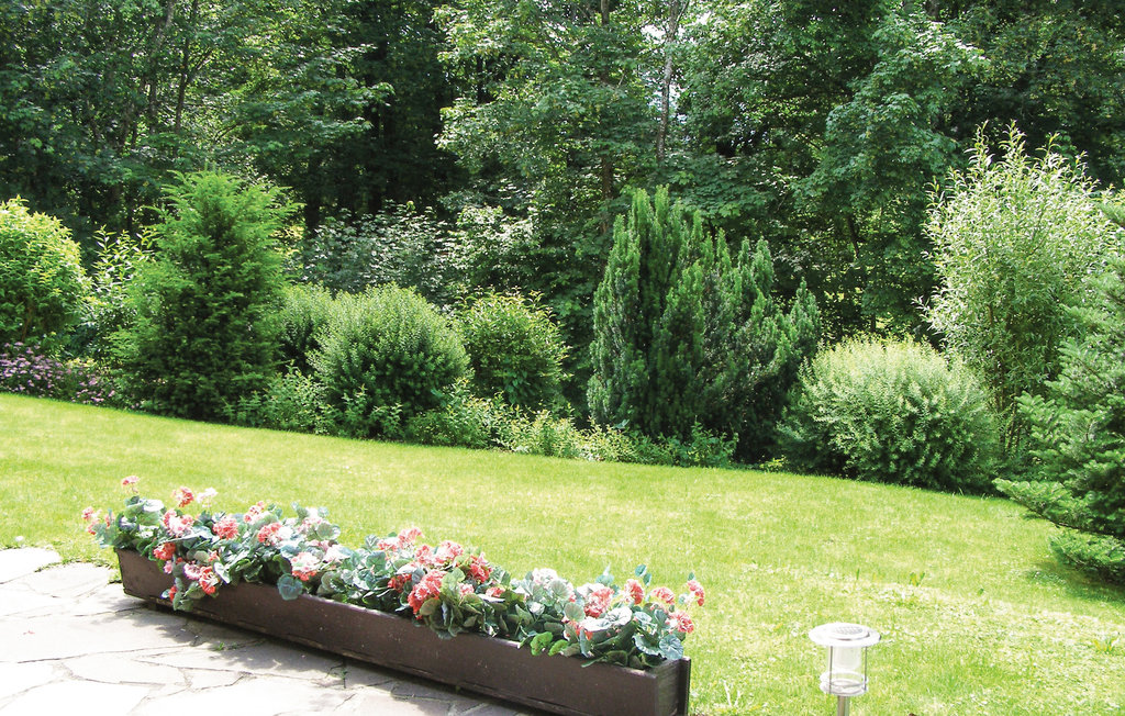 Bild 13
