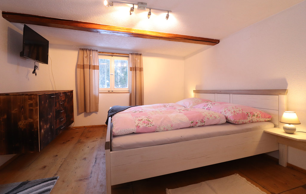 Feriehus - Dalaas , Østerrike - AVO149 18