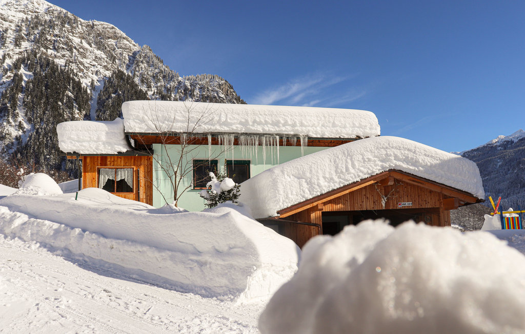 Ferieleilighet - Dalaas , Østerrike - AVO140 9