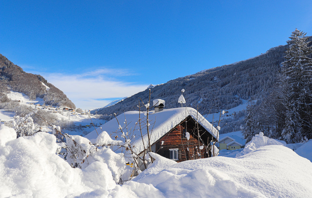 Feriehus - Dalaas , Østerrike - AVO149 10