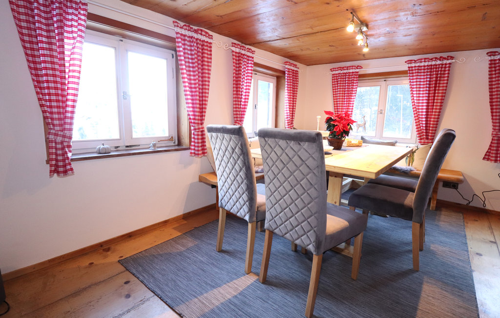 Feriehus - Dalaas , Østerrike - AVO149 12