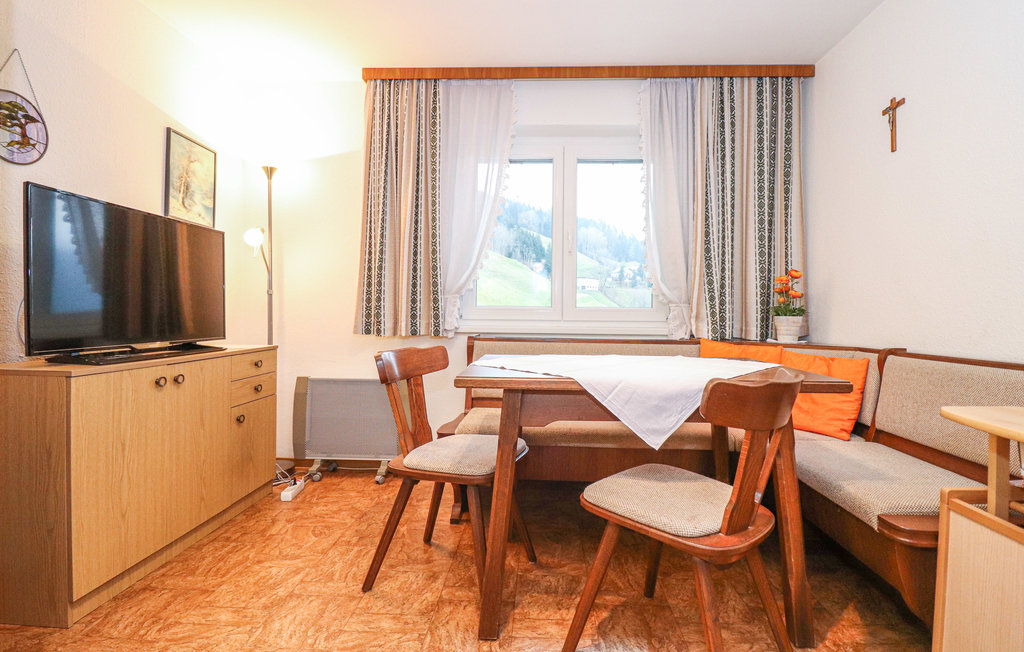 Ferieleilighet - Blons/Grosses Walsertal , Østerrike - AVO112 4