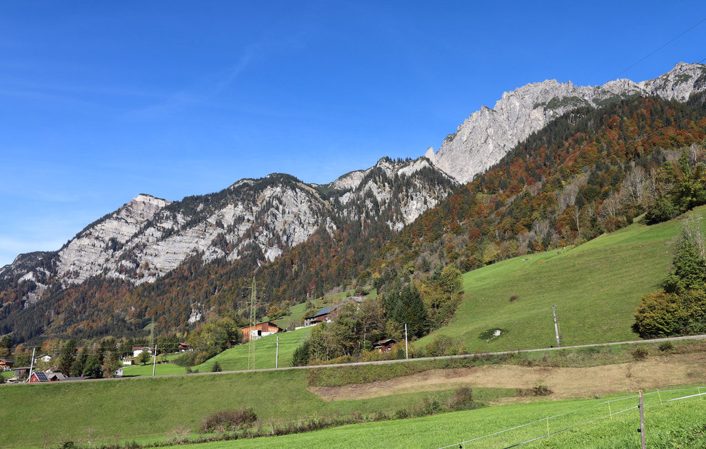 Ferienwohnung - Braz , Österreich - AVO212 2