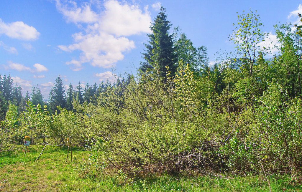 Ferieleilighet - Egg , Østerrike - AVO033 6