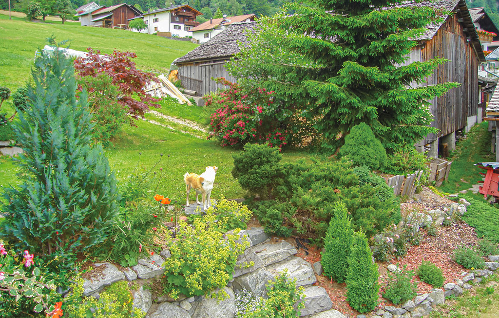 Lejlighed - St. Gallenkirch , Østrig - AVO065 7