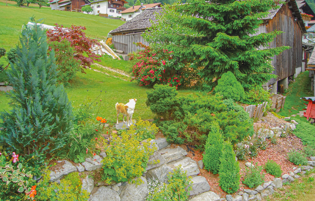 Ferieleilighet - St. Gallenkirch , Østerrike - AVO067 7