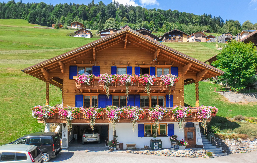 Ferieleilighet - Grosses Walsertal/Sonntag , Østerrike - AVO136 10