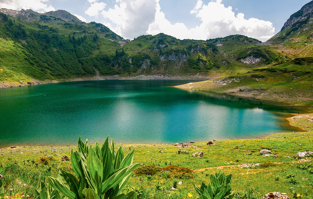Feriehuse - Dalaas am Arlberg , Østrig - AVO079 33
