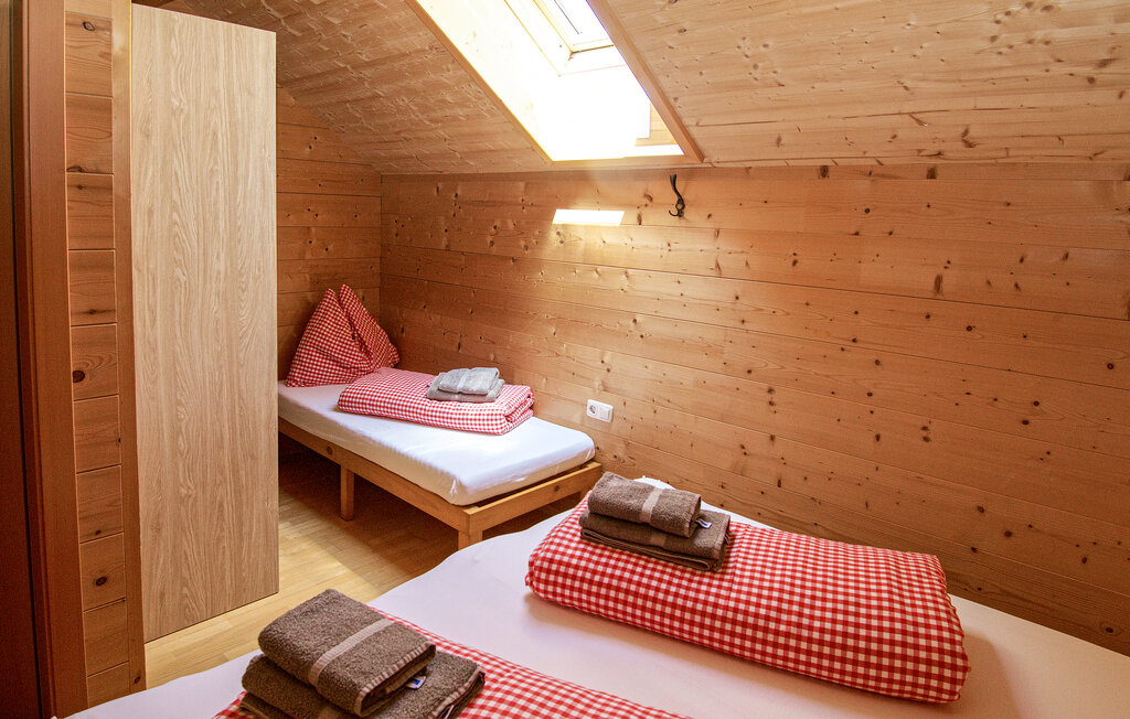 Feriehuse - Dalaas am Arlberg , Østrig - AVO079 24