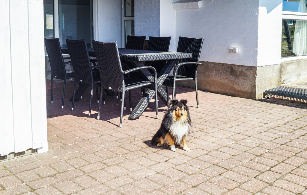 Ferienhaus - Klitmøller , Dänemark - B04042 11