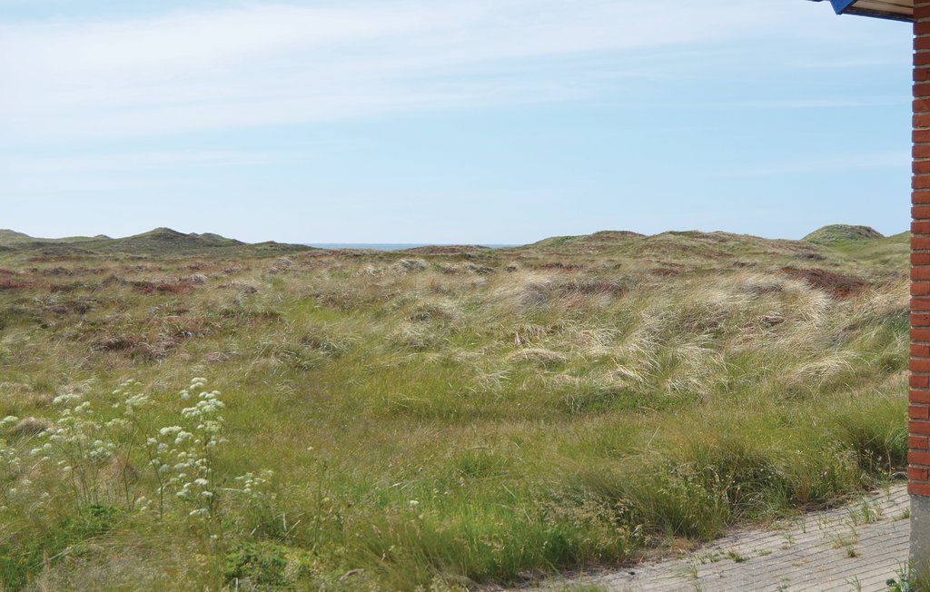 Ferienhaus - Vorupør , Dänemark - B10001 5