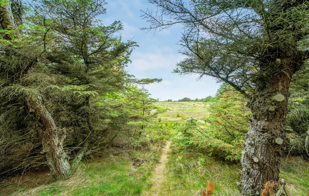 Ferienhaus - Vorupør , Dänemark - B10084 14