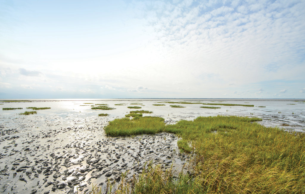 Ferienhaus - Højer , Dänemark - B1040 29