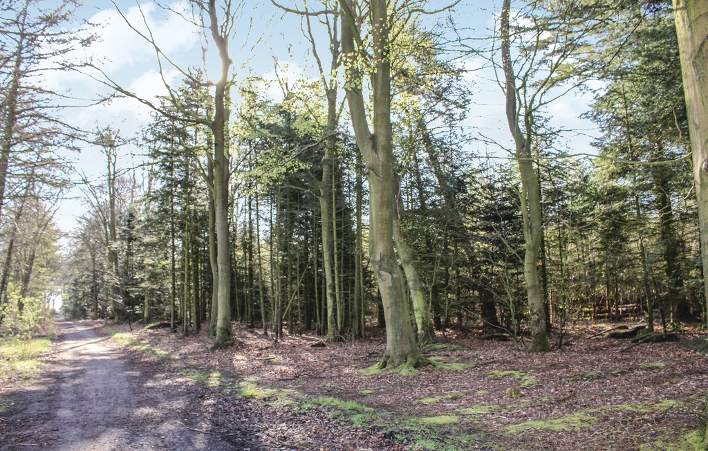 Ferienwohnung - Løgumkloster , Dänemark - B1131 10