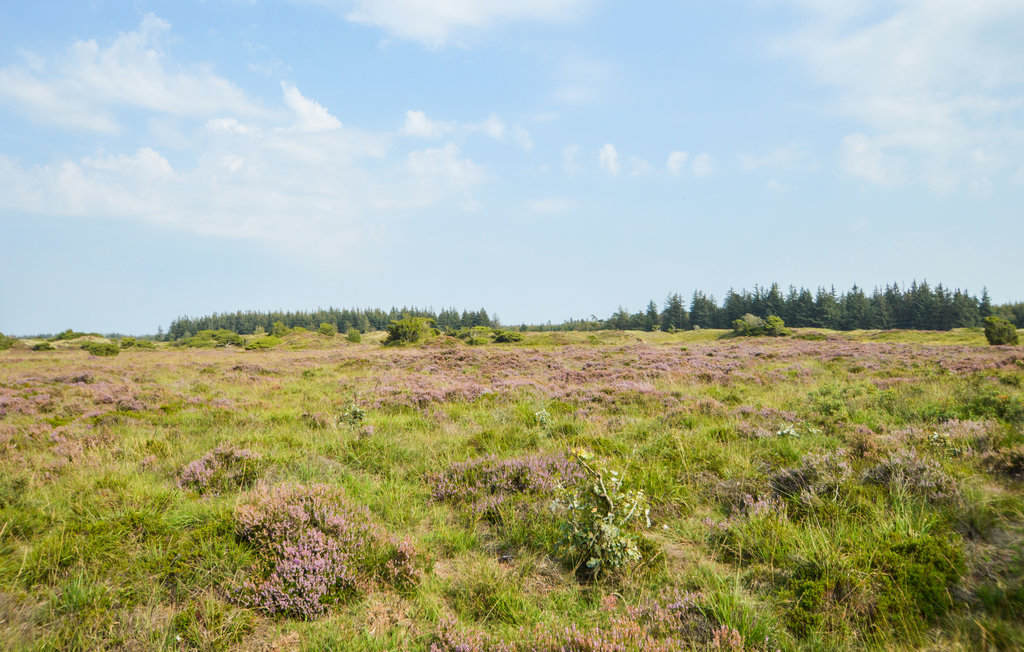 Feriehuse - Arrild Ferieby , Danmark - B1101 23
