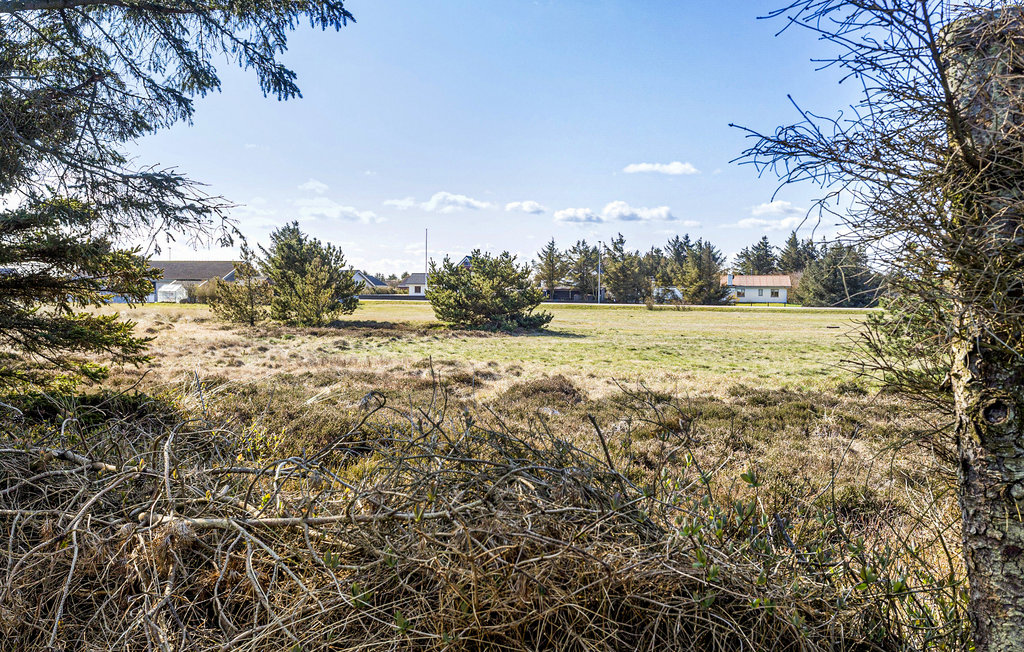 Ferienhaus - Vorupør , Dänemark - B16017 12