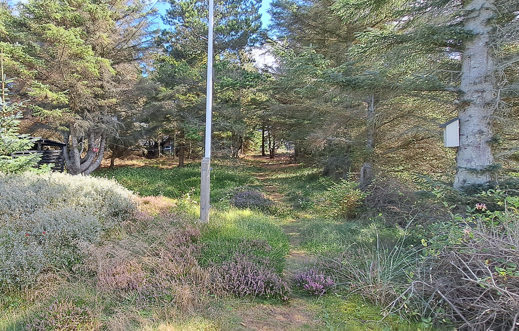 Feriehuse - Vorupør , Danmark - B16017 12