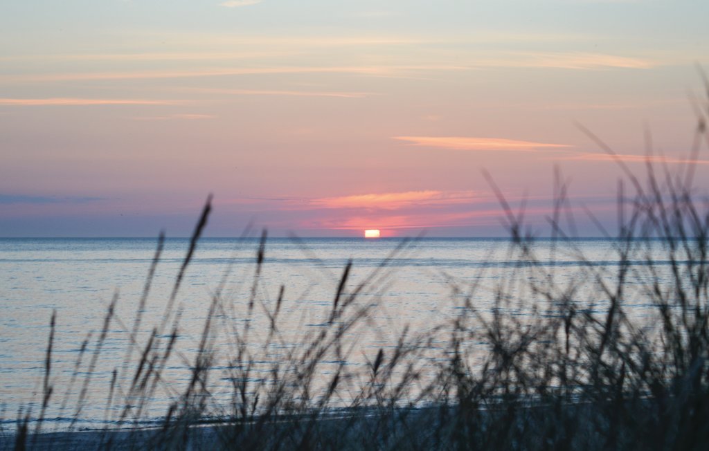 Ferienhaus - Vorupør , Dänemark - B17020 46