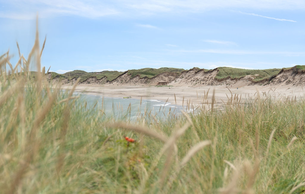 Ferienhaus - Vorupør , Dänemark - B18001 27