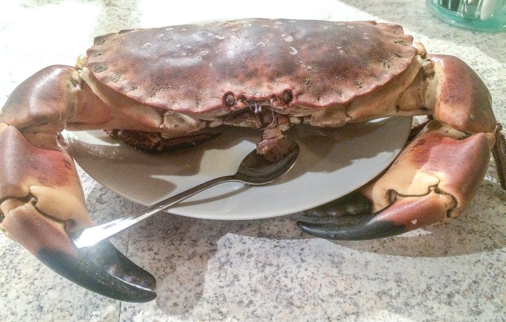 Feriehuse - Vorupør , Danmark - B18015 29