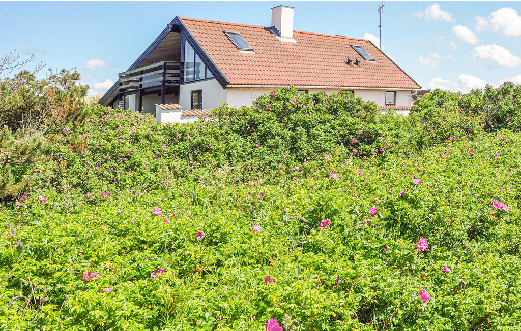 Ferienhaus - Vorupør , Dänemark - B18250 11