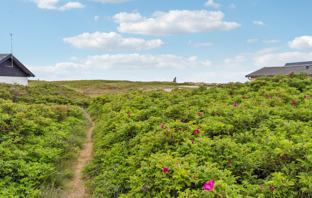 Ferienhaus - Vorupør , Dänemark - B18106 17