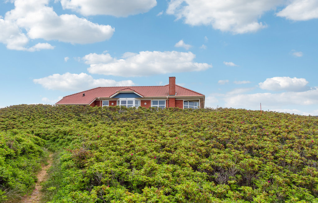 Ferienhaus - Vorupør , Dänemark - B18106 15