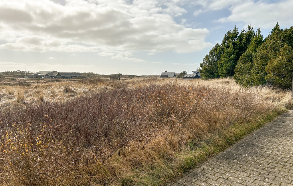 Ferienhaus - Vorupør , Dänemark - B18012 12