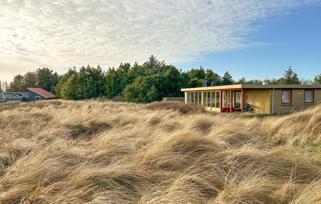 Ferienhaus - Vorupør , Dänemark - B18012 11