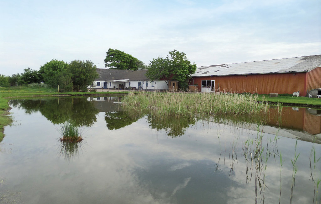 Semesterhus - St. Darum , Danmark - B2015 2