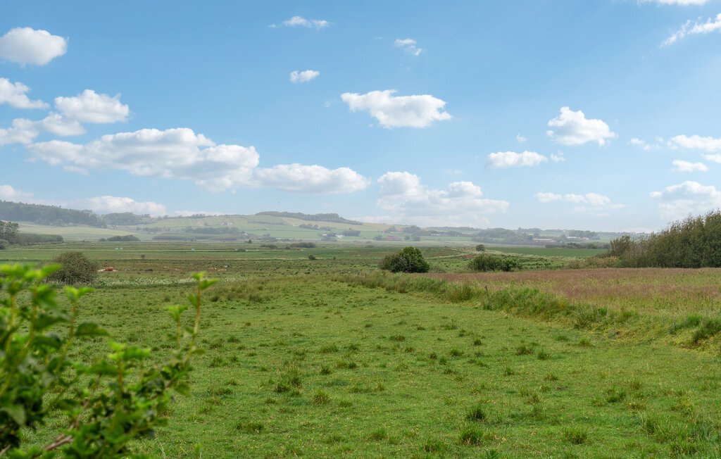 Ferienhaus - Snedsted , Dänemark - B20011 12