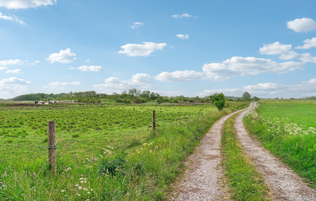Ferienhaus - Snedsted , Dänemark - B20011 8