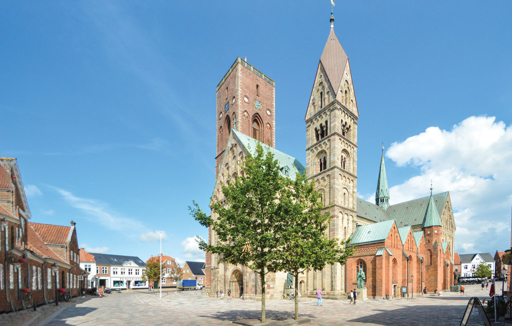 Ferienhaus - Ribe , Dänemark - B2010 18