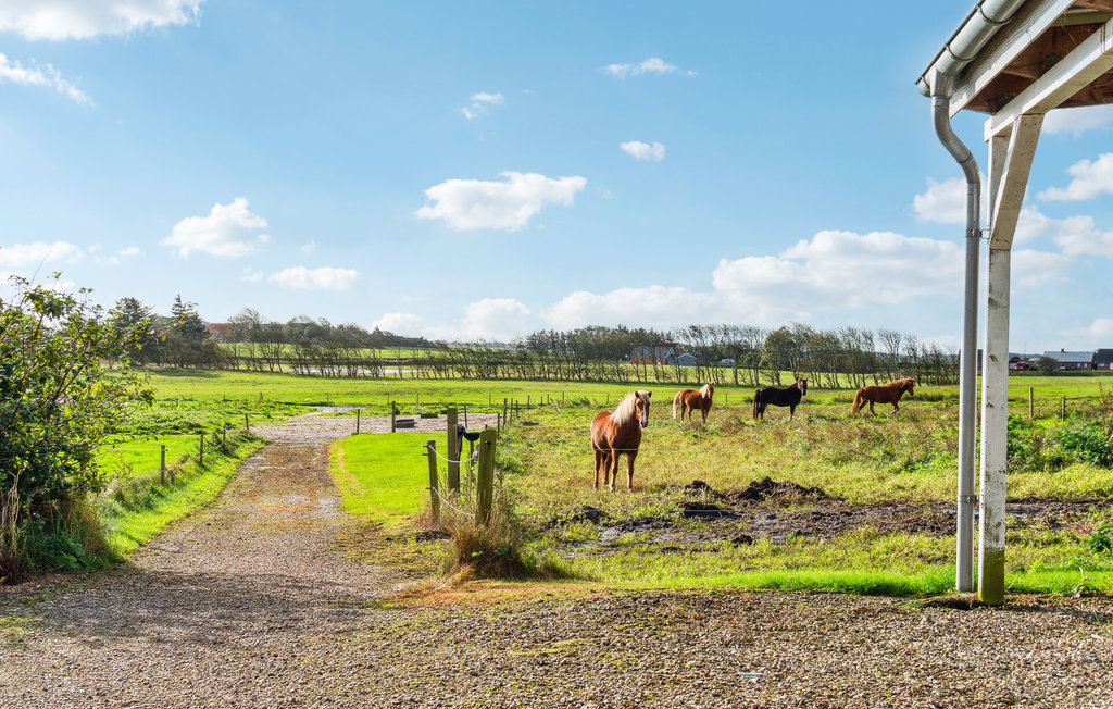 Lejlighed - Nørhå , Danmark - B20002 11