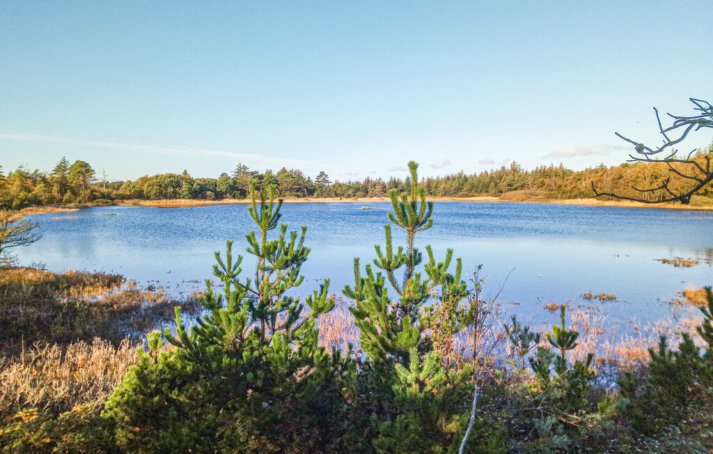 Feriehuse - Svankær , Danmark - B30013 8