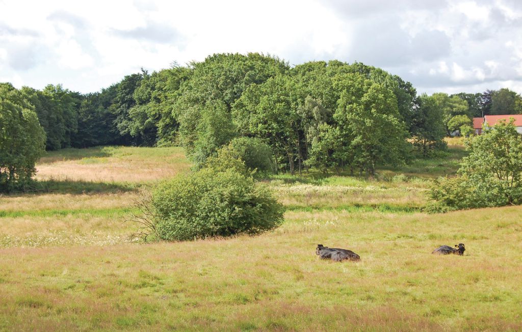Feriehuse - Hovborg , Danmark - B3026 29