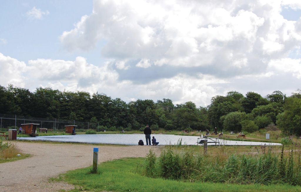 Feriehuse - Hovborg , Danmark - B3026 30