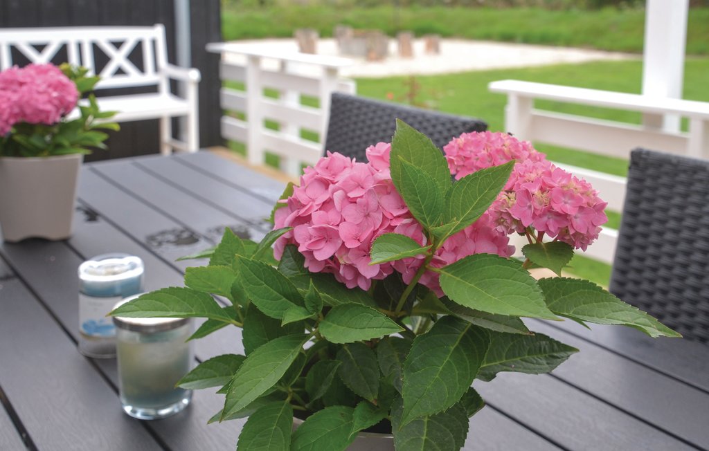 Ferienhaus - Jegum Ferieland , Dänemark - B3095 9