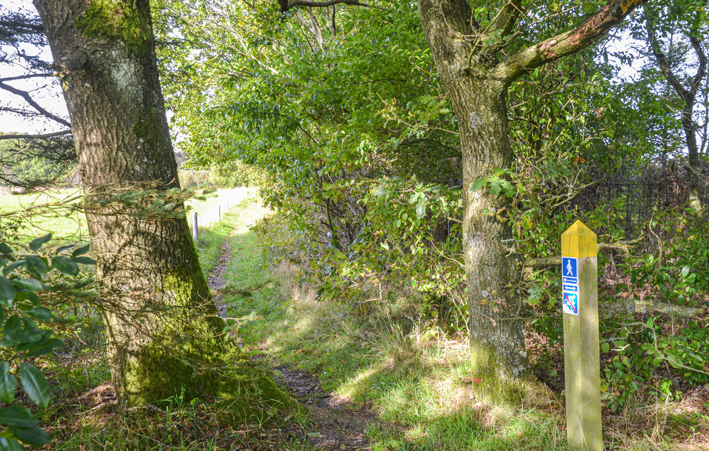 Ferienhaus - Hovborg , Dänemark - B3402 17