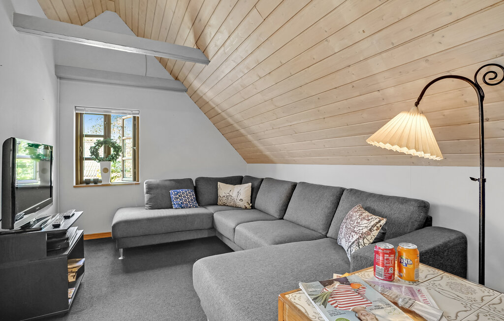 Ferienhaus - Svankjær , Dänemark - B40102 3