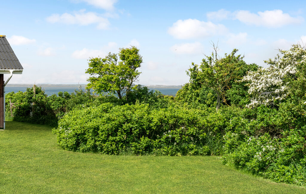 Ferienhaus - Kærgården/Vesterv. , Dänemark - B40042 9