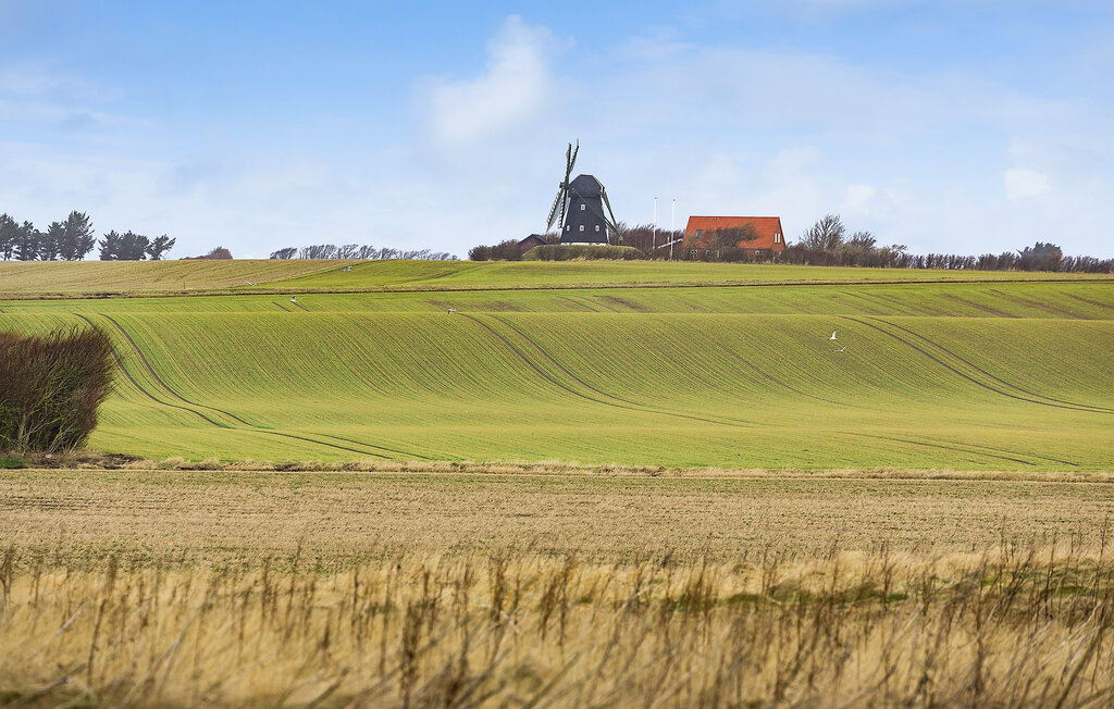 
Holiday rental - Agger strand , Denmark - B40605 11
