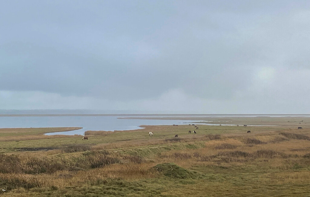 Ferienhaus - Vestervig , Dänemark - B40410 27